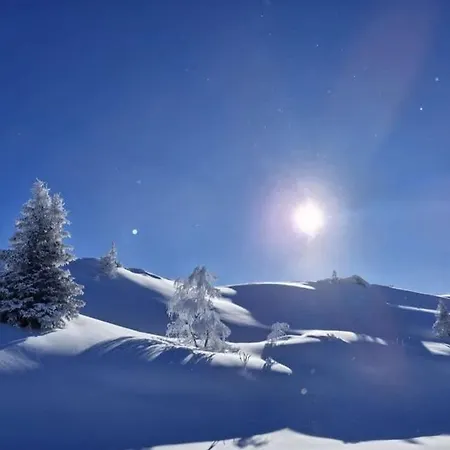 Montagne Prapoutel Station Appartamento *